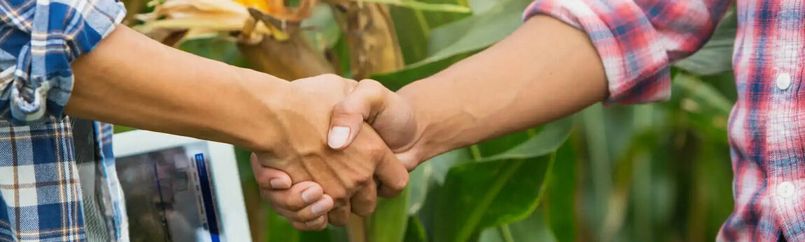 Handschlag von zwei Personen vor einem Feld 