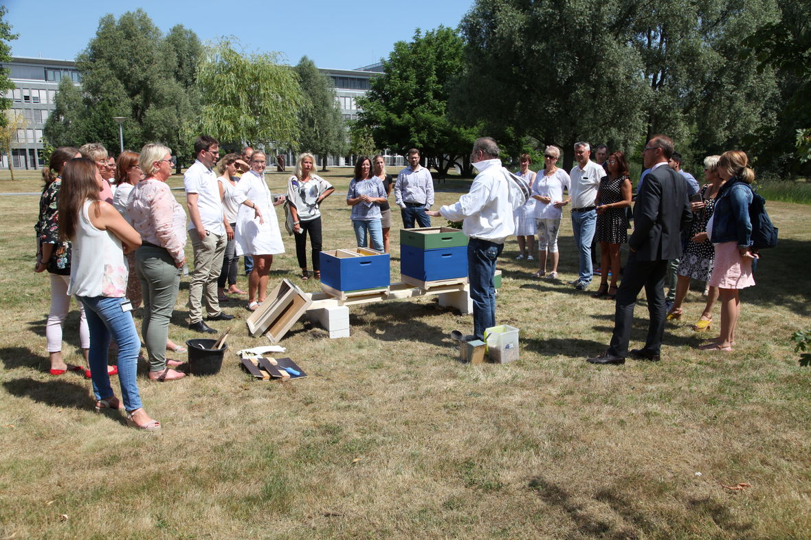 Zuschauer am neuen Bienenstock im Concordia Park.