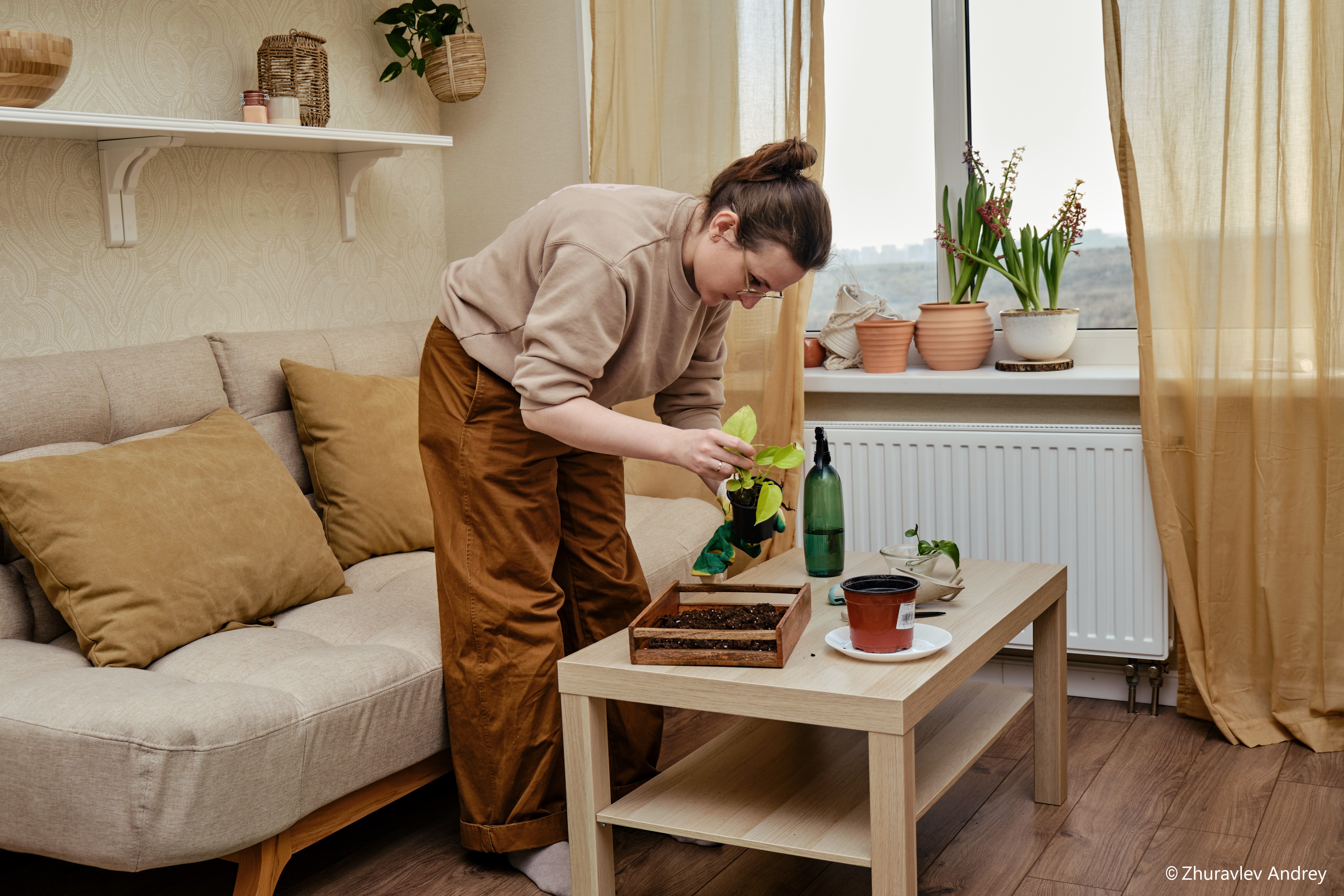 Frau hebt eine Pflanze aus dem Pflanzentopf