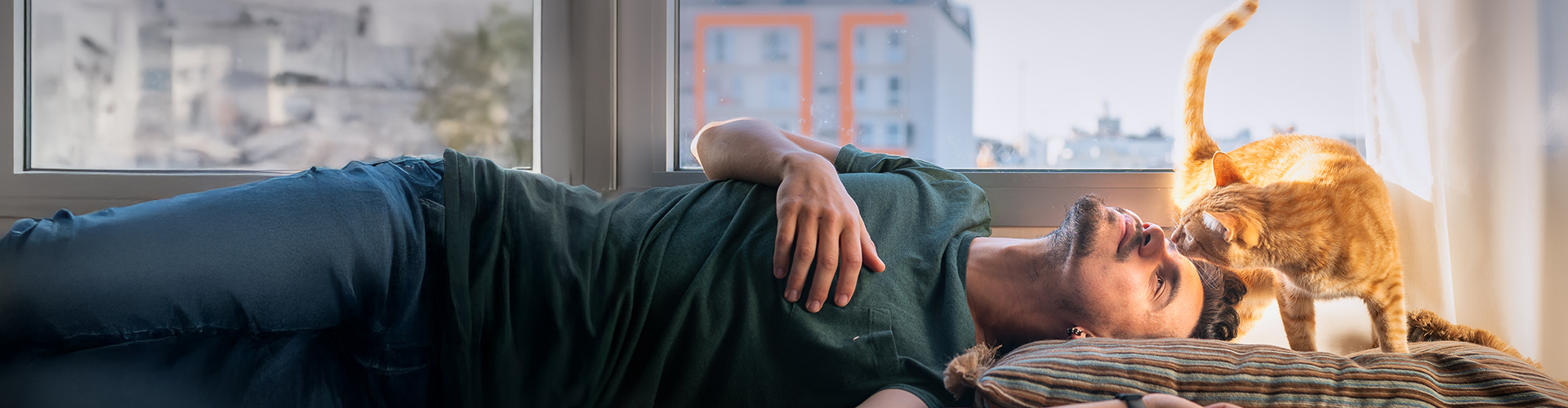 Mann kuschelt mit seiner Katze auf dem Sofa,Katze schnuppert am Gesicht des Mannes